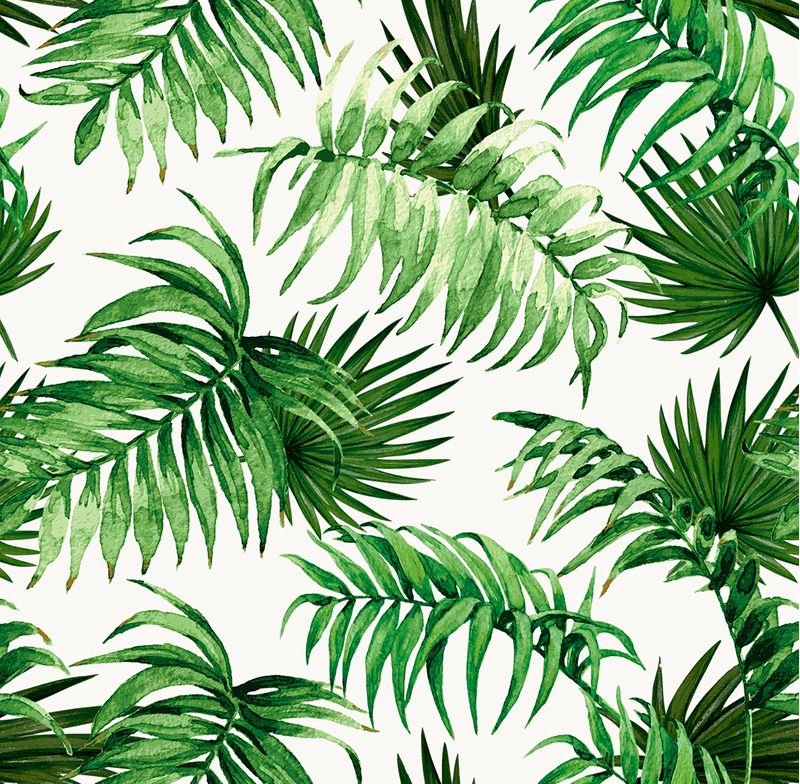 Papel-de-Parede-Vinilico-Paisagem-Tropical-Verde-e-Branco-52cm-x-95m