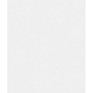 Papel de Parede Vinílico Relevo Floral Branco 52cm x 9,5m