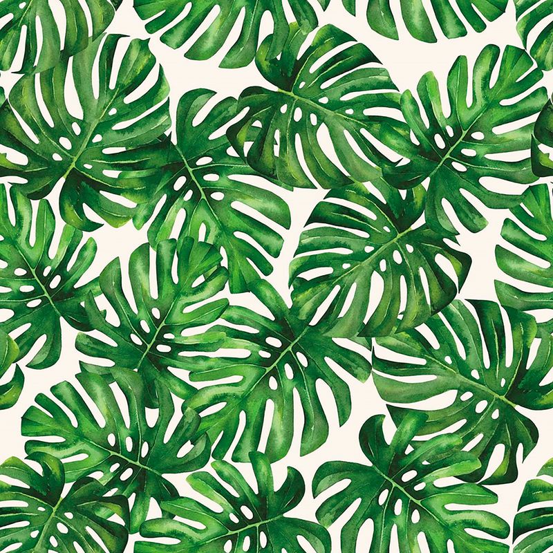 Papel-de-Parede-Vinilico-Costelas-de-Adao-Verde-52cm-x-95m
