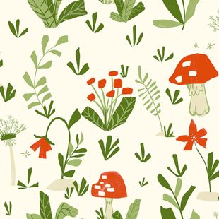 Papel de Parede Vinílico Insetinhos Verde e Vermelho 52cm x 9,5m