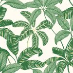 Papel-de-Parede-Vinilico-Contemporaneo-Ref-4100-Verde-52cm-x-10m