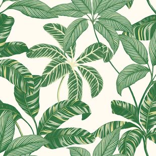 Papel de Parede Vinílico Contemporâneo Ref 4100 Verde 52cm x 10m