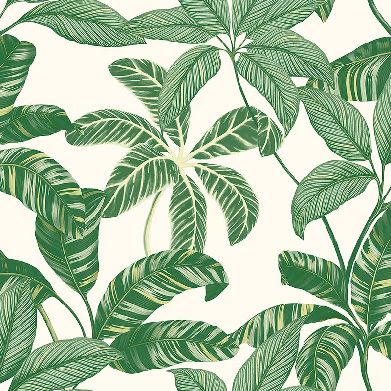 Papel-de-Parede-Vinilico-Contemporaneo-Ref-4100-Verde-52cm-x-10m