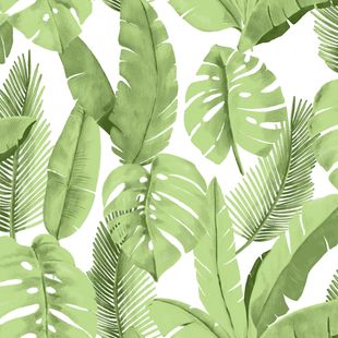 Papel de Parede Vinilizado Atemporal Ref 3702 Verde 52cm x 10m