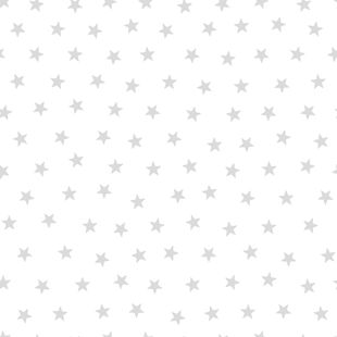 Papel de Parede Vinílico Renascer Ref 6214 Cinza 52cm x 10m