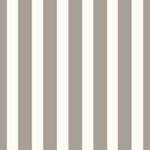 Papel-de-Parede-Vinilico-Listra-do-Vichi-cinza-chumbo-52x1000